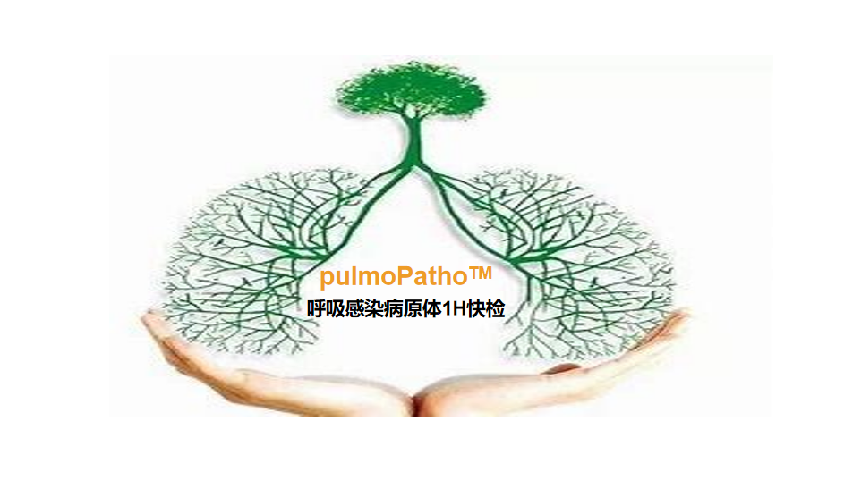 pulmoPatho，呼吸感染病原谱