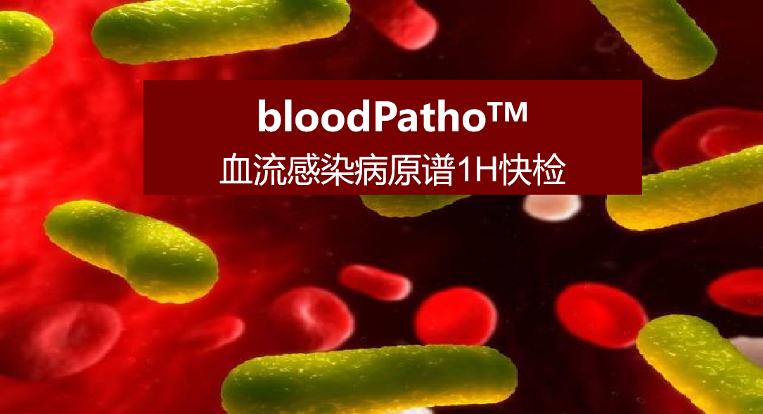 bloodPatho，血流感染病原谱