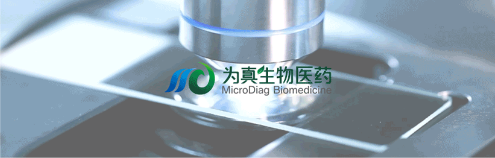 王莹院长领衔，王弢博士技术负责的研发项目获浙江省2024年度“尖兵”“领雁”研发攻关计划项目立项