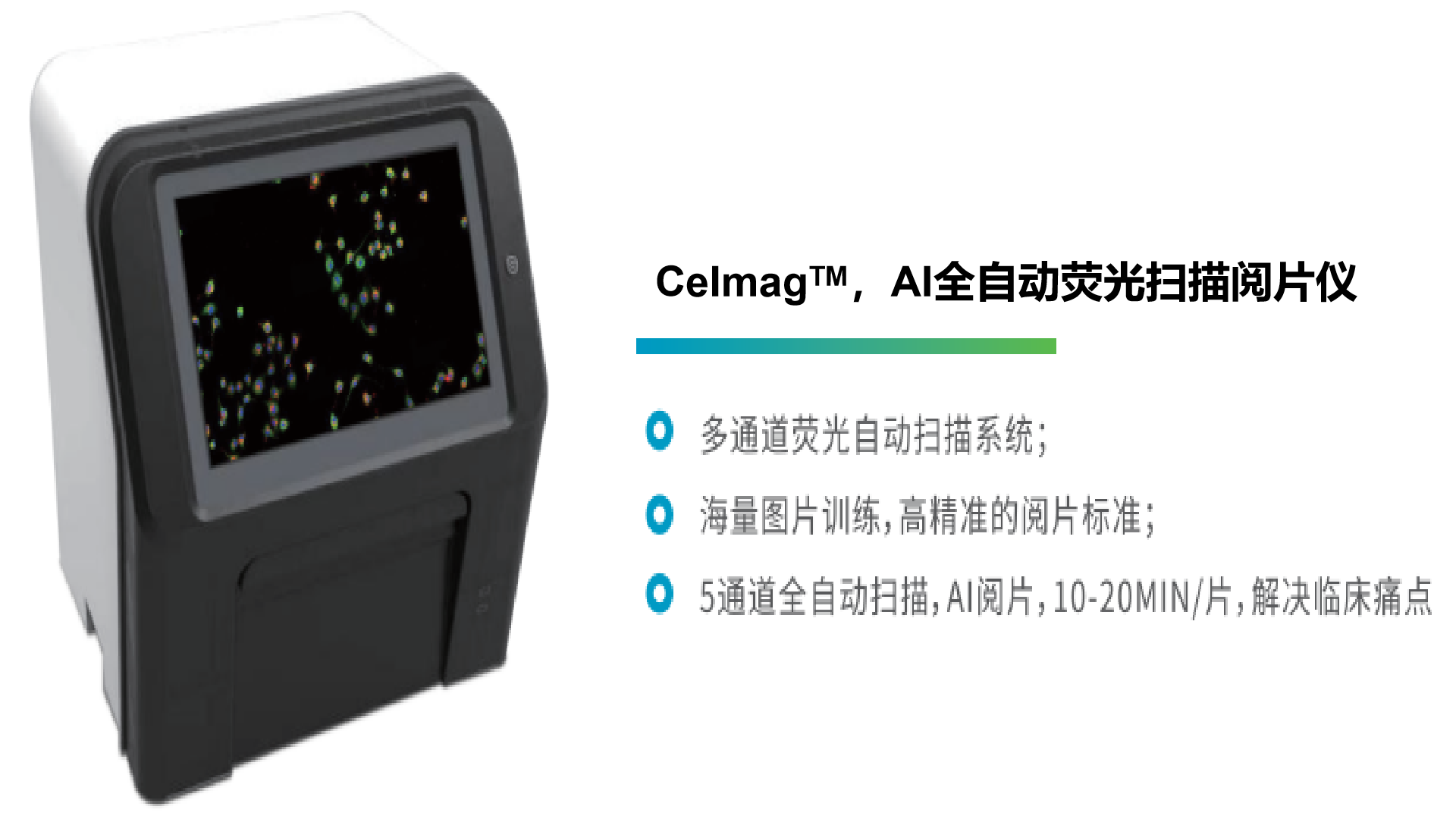 1687405561272843.png image.png