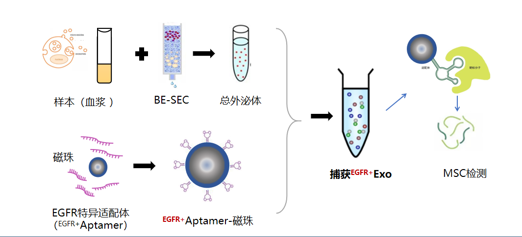 1691675809311115.png 1691675801303.png